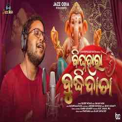 Bighnahara Budhidata